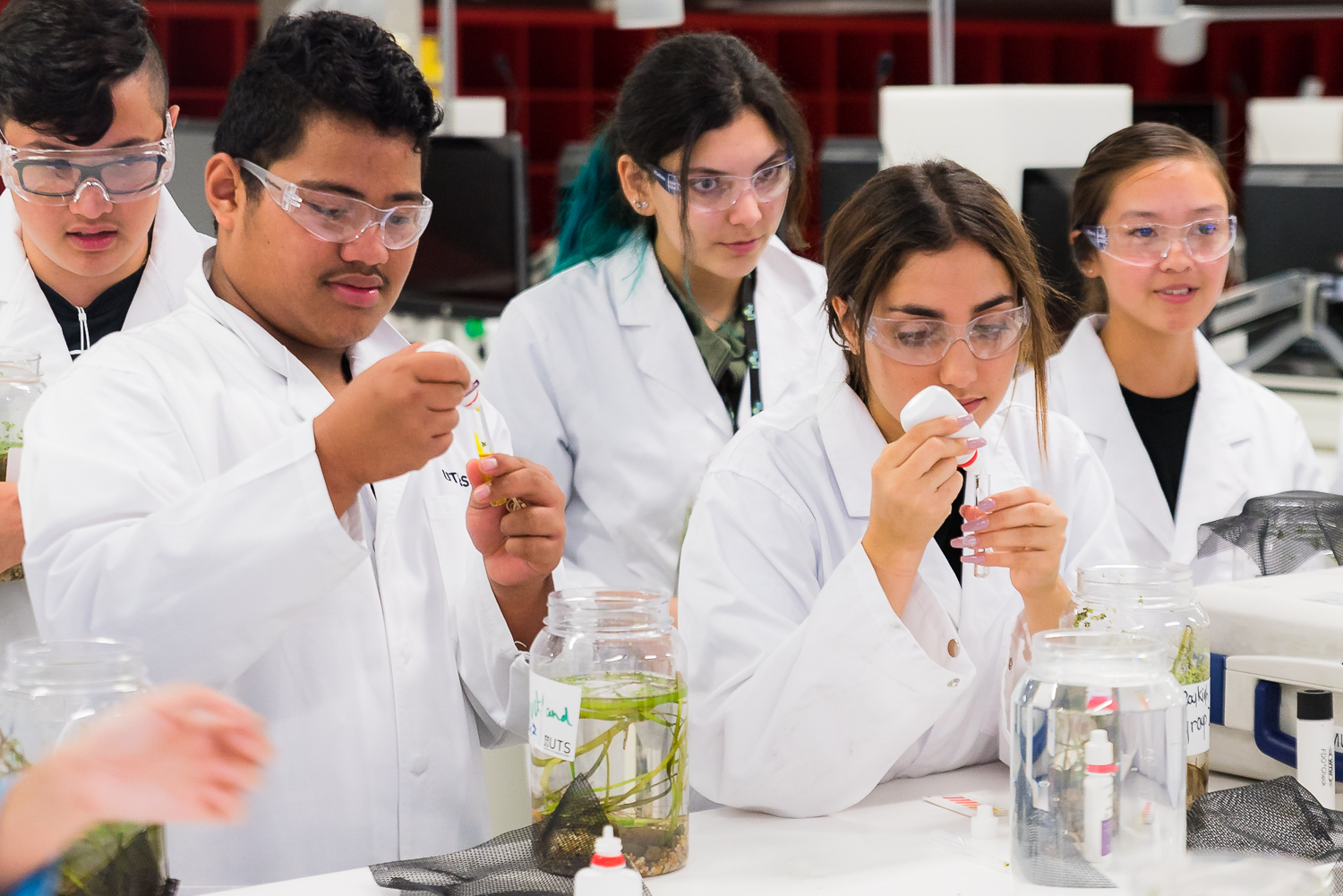 Project-based learning: students in a lab at the recent Summer School