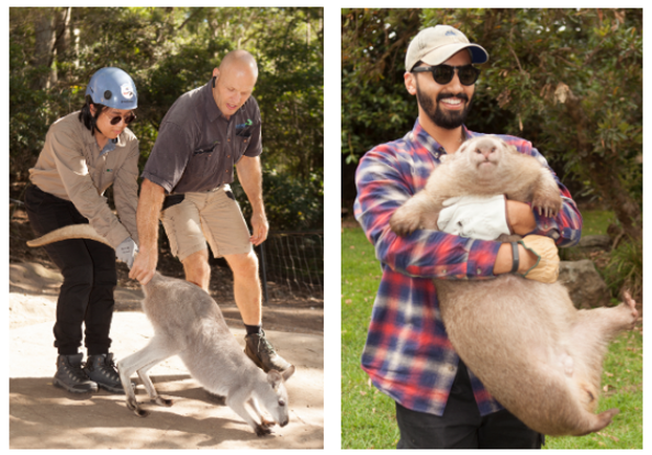 course participants handling a kangaroo and a wombat at Shoalhaven Zoo