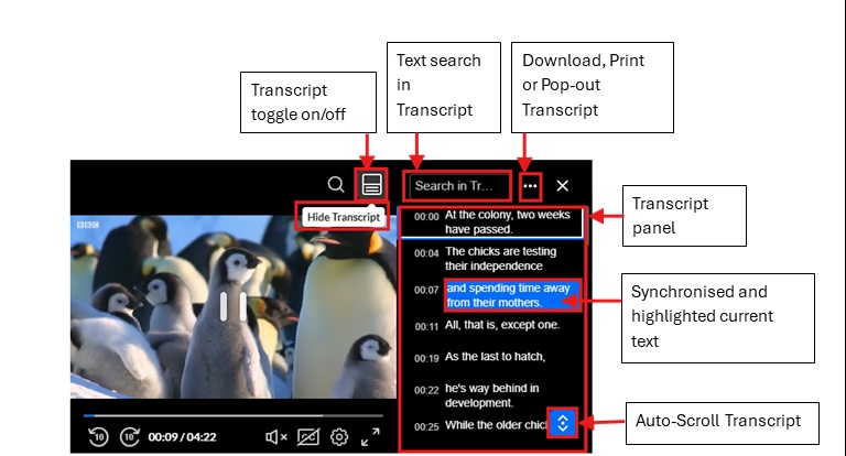 a screenshot showing the functions found in the Kaltura window - transcript toggle on and off, text search, download print or pop-out, transcript panel, synchronised and highlighted text, auto scroll
