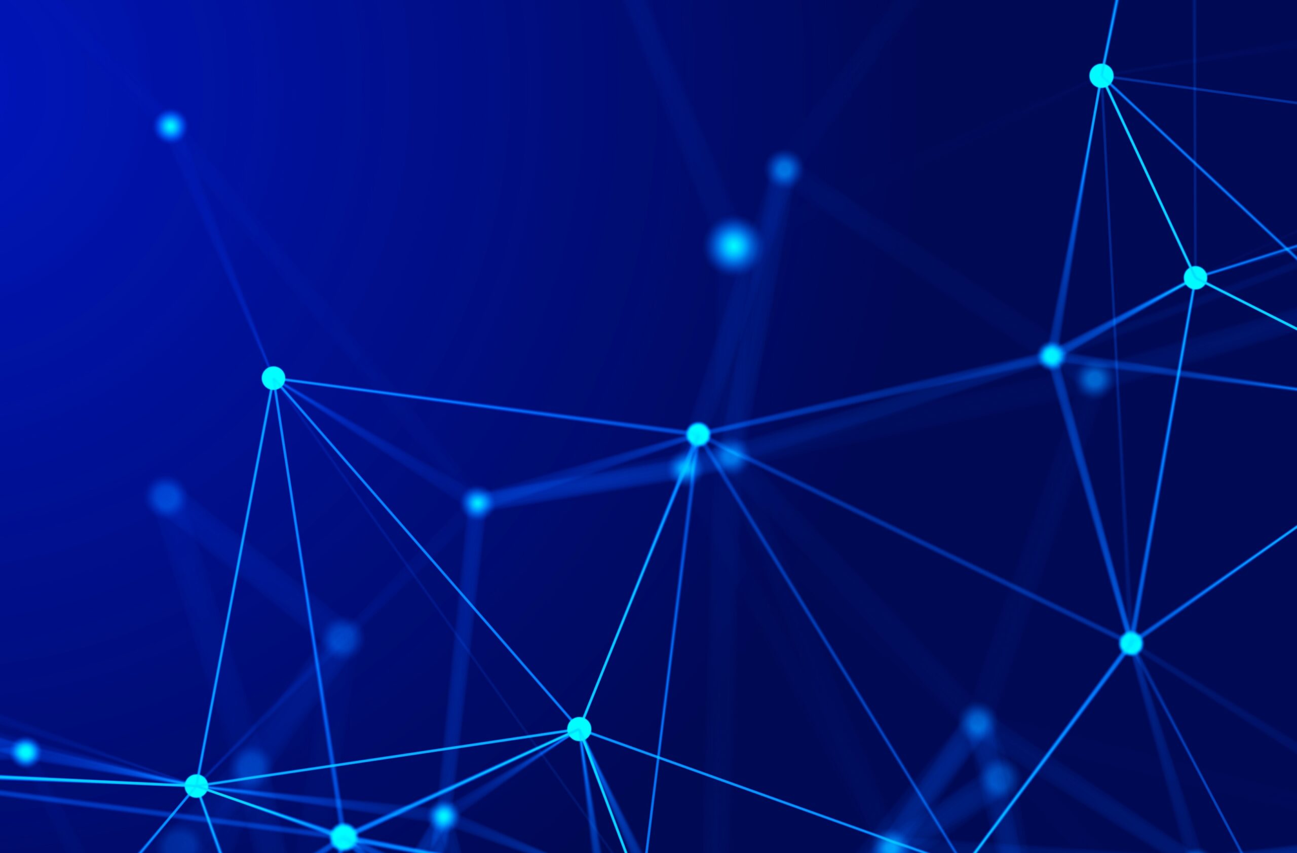 Network connection data structure