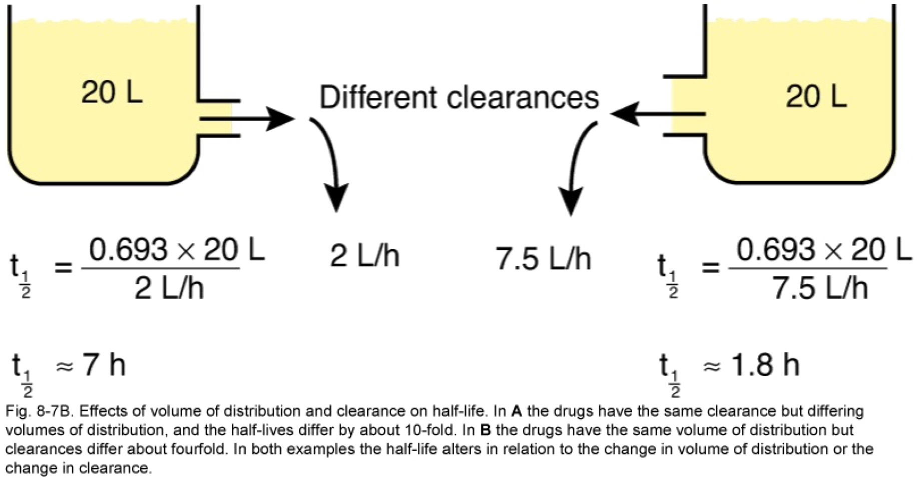 Clearance and half-life