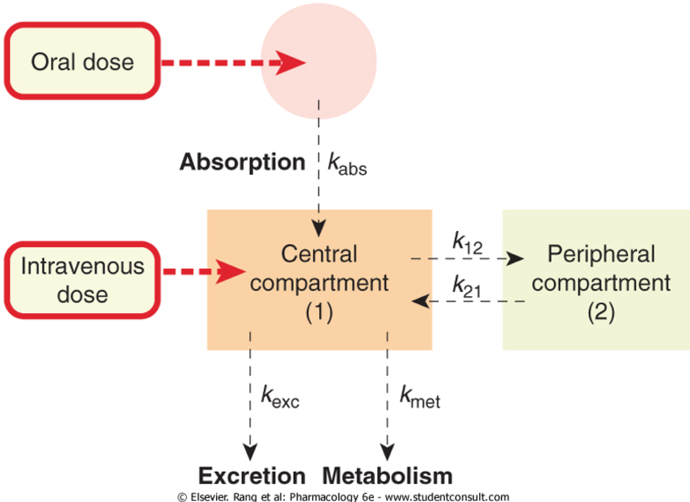 Two compartment models